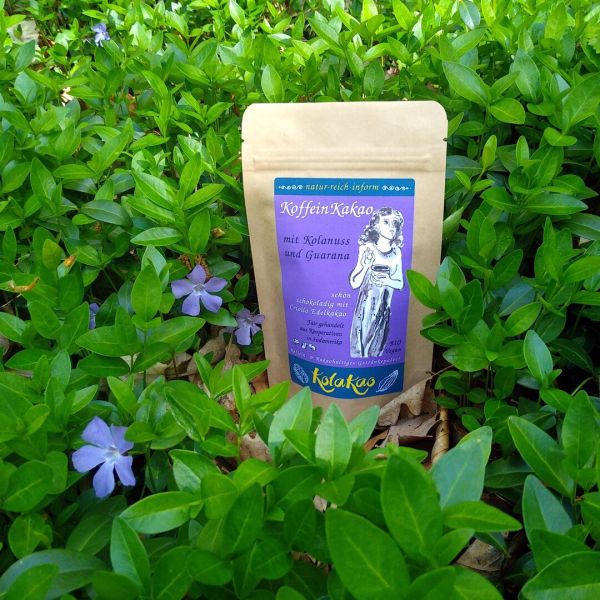 Eine kleine Packung von KolaKao - der KoffeinKakao mit Kolanuss und Guarana BIO steht inmitten eines grünen Teppichs mit violettblauen Frühlingsblüten.